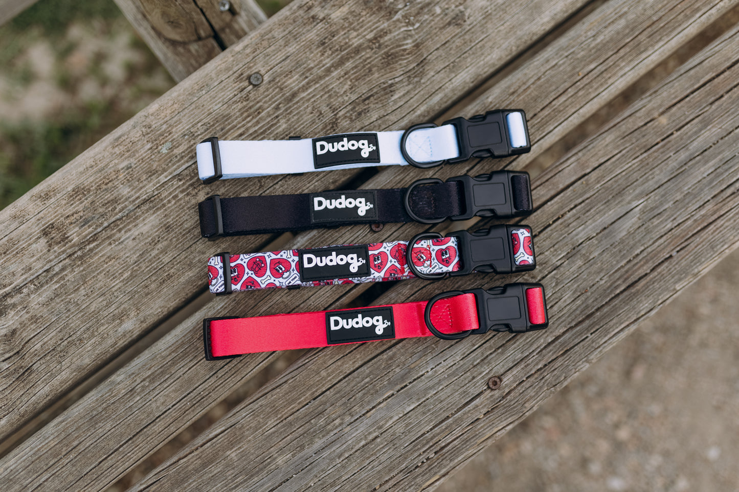 Collar ajustable perro colores lisos y estampado personalizable