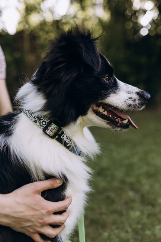Collar Animals 002
