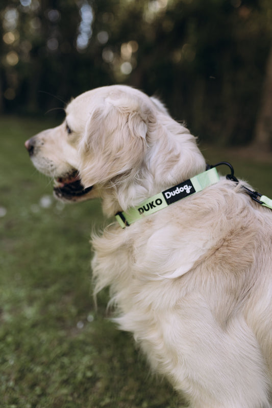 Collar Bambú 002