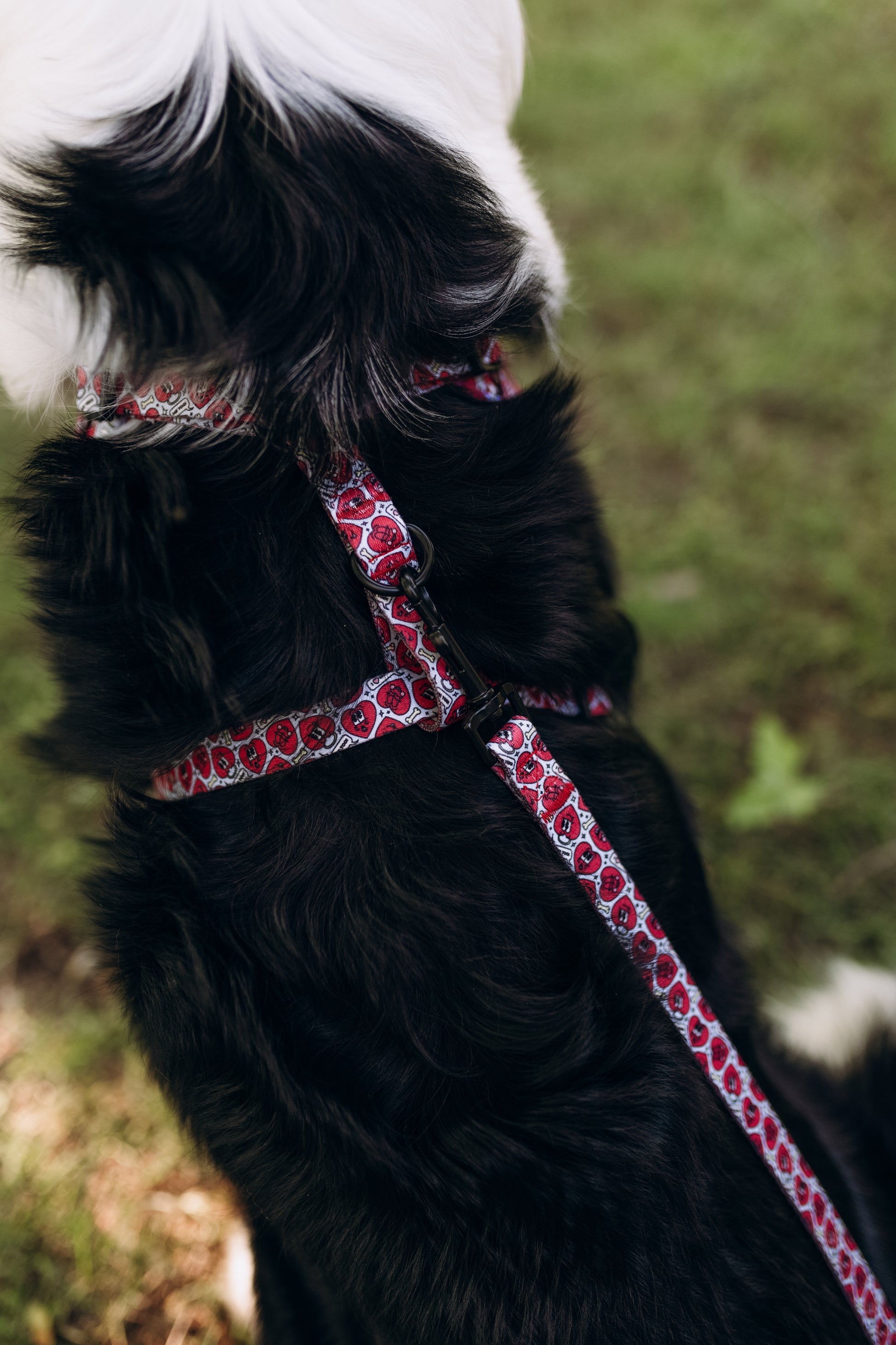 correa corazones estampada asa acolchada para perros y mascotas