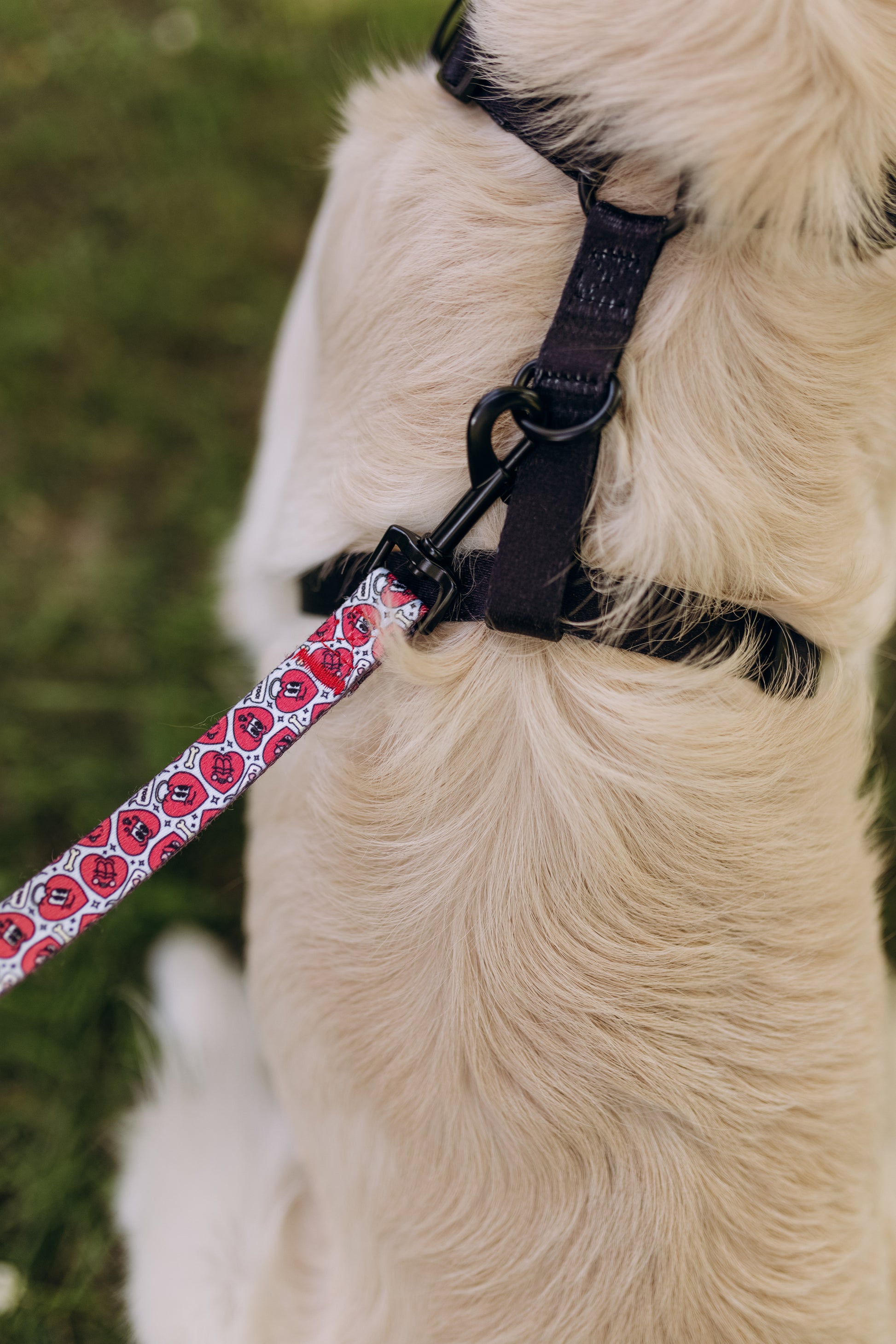 correa corazones estampada asa acolchada para perros y mascotas