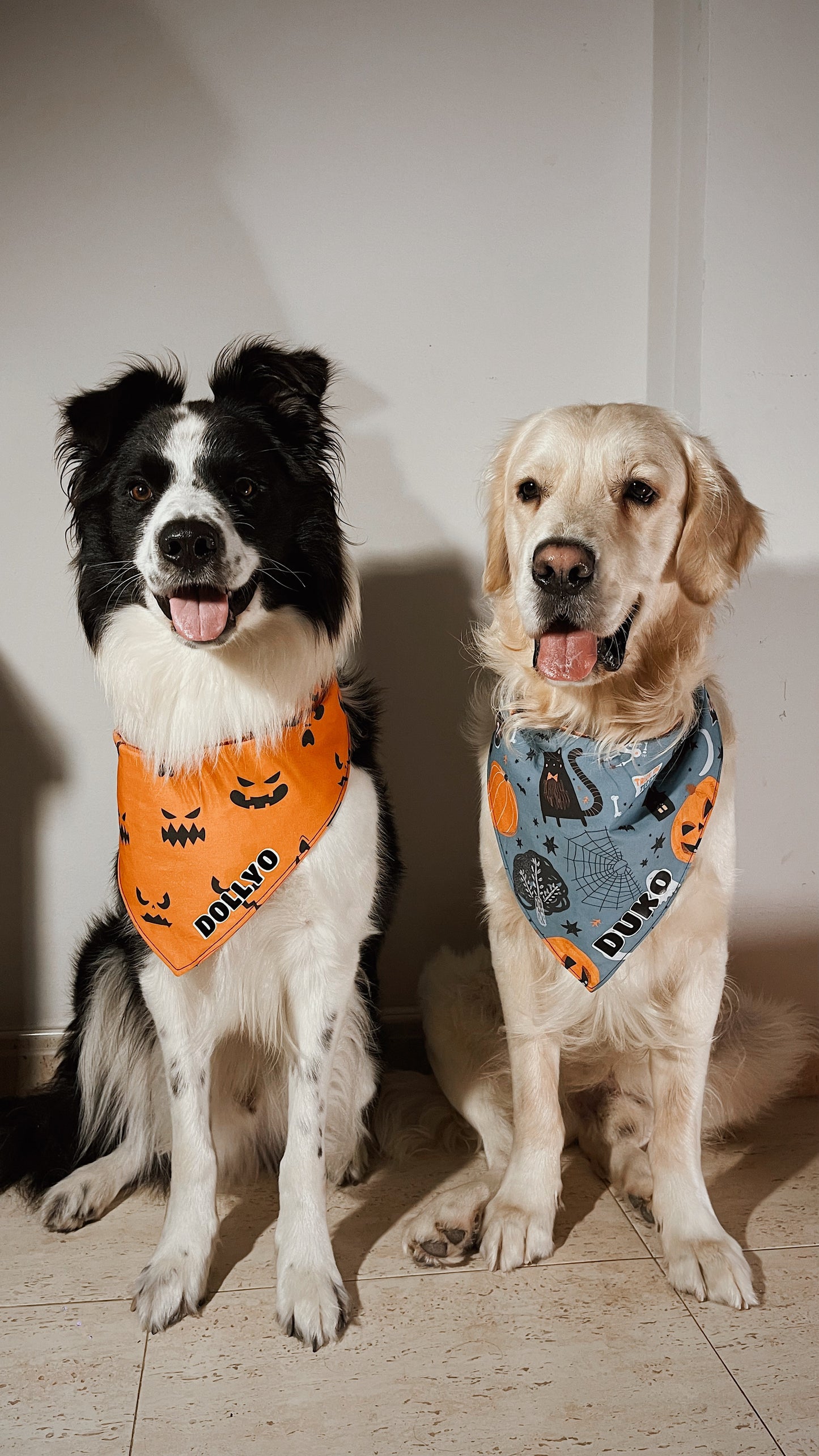 Bandanas Mascota Especial Halloween