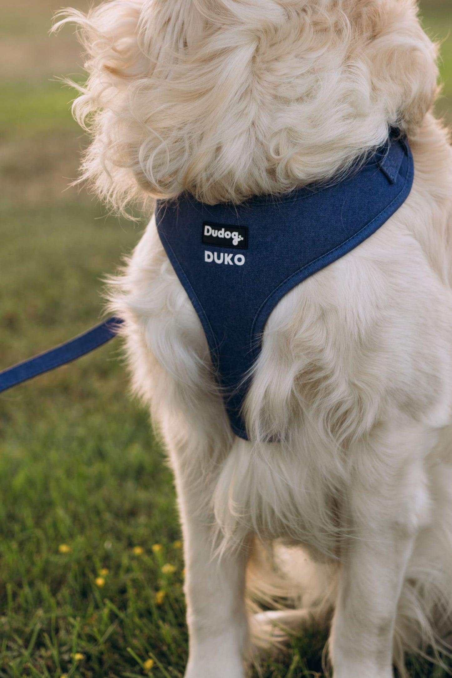 Arnes Ajustable Para perros tejido Denim 003