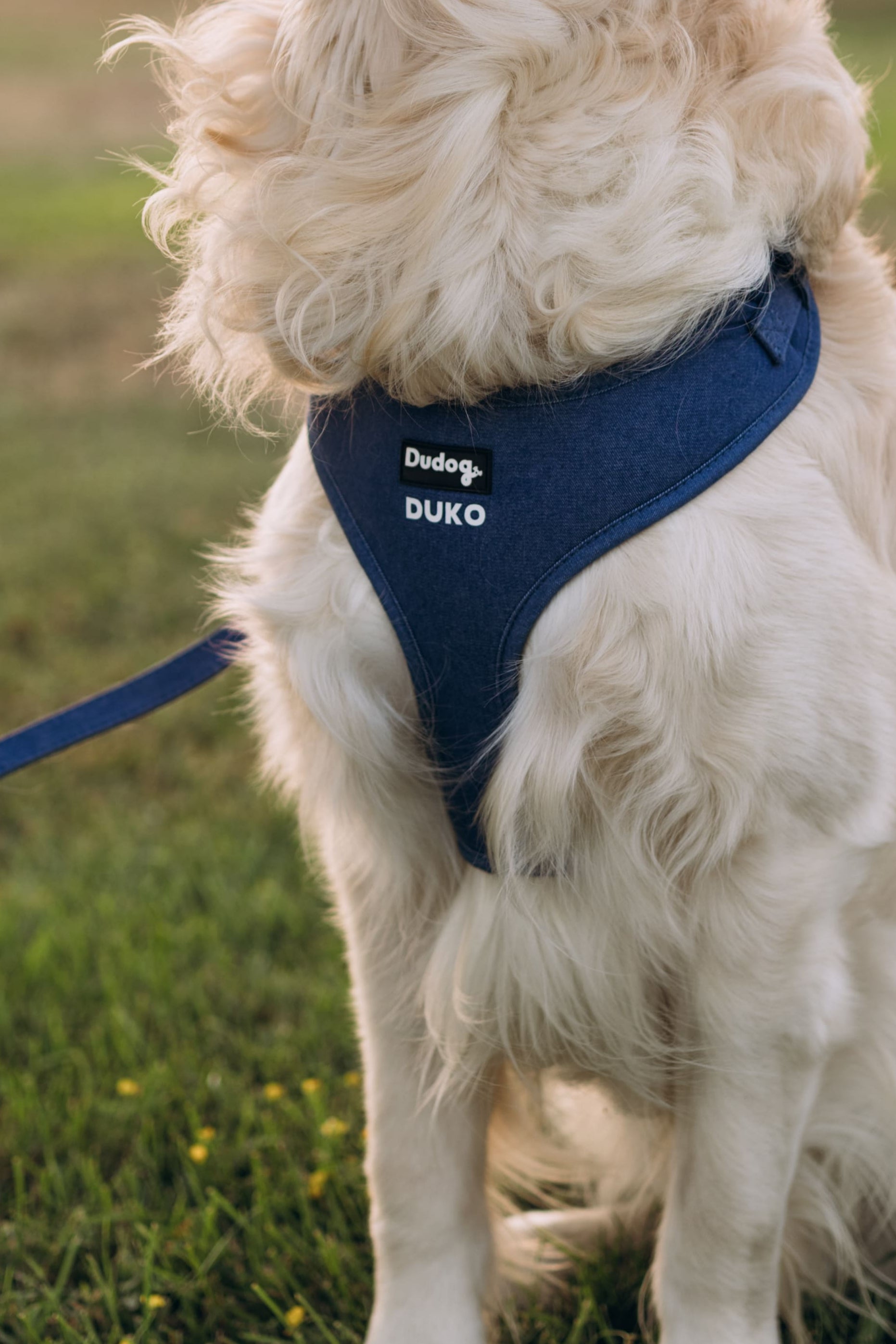 Arnes Ajustable Para perros tejido Denim 003