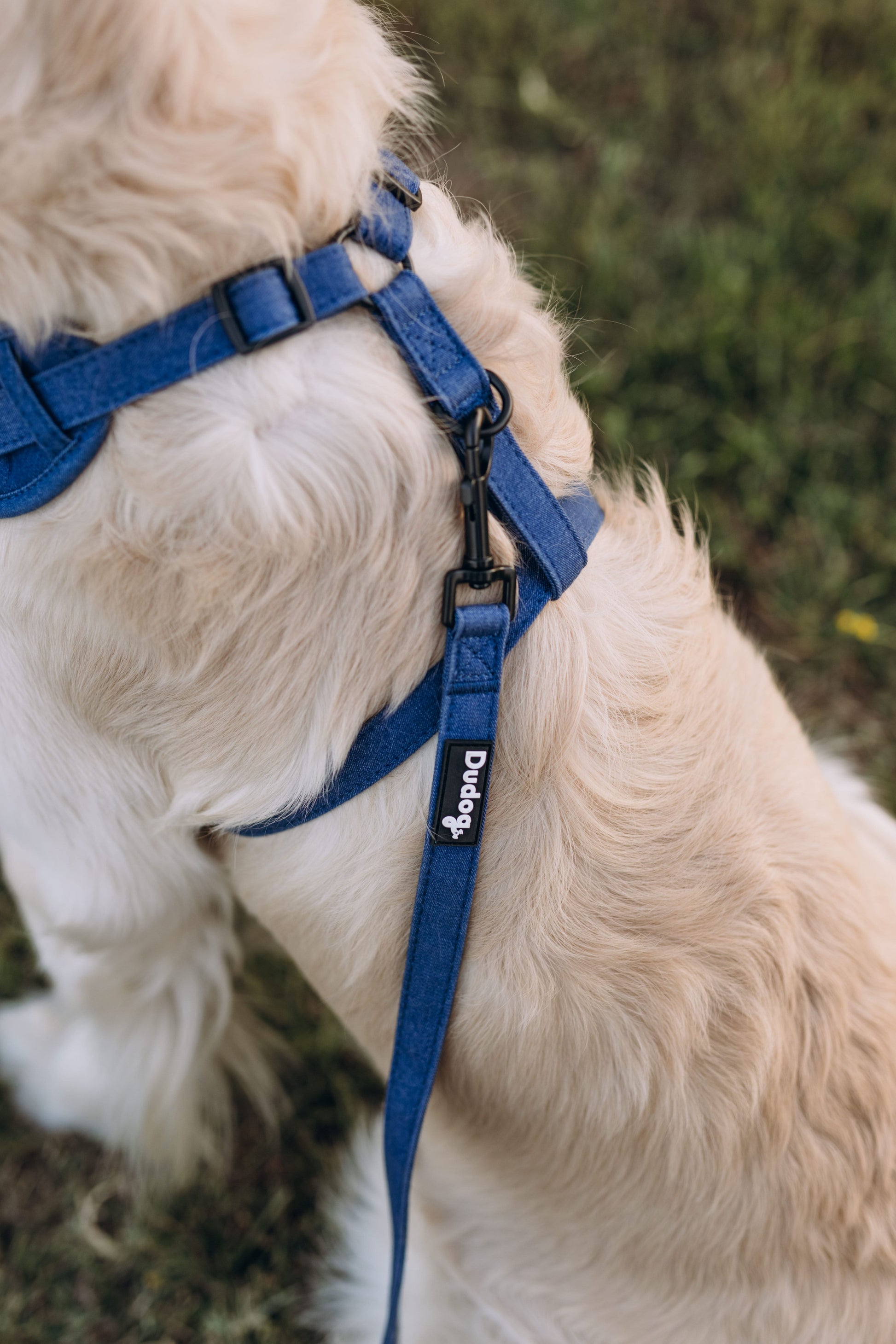 Arnes Ajustable para perros Denim 003 Tejido Vaquero