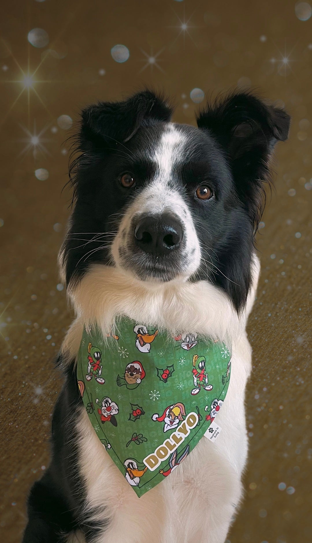 Bandana Mascota Especial Navidad