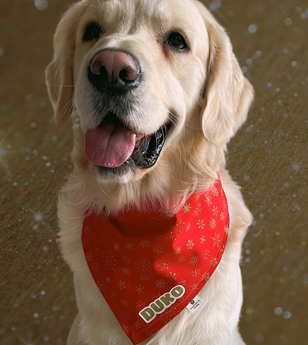 Bandana Mascota Especial Navidad